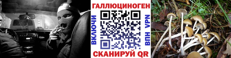 Галлюциногенные грибы Magic Shrooms  продажа наркотиков  mega маркетплейс  Меленки 